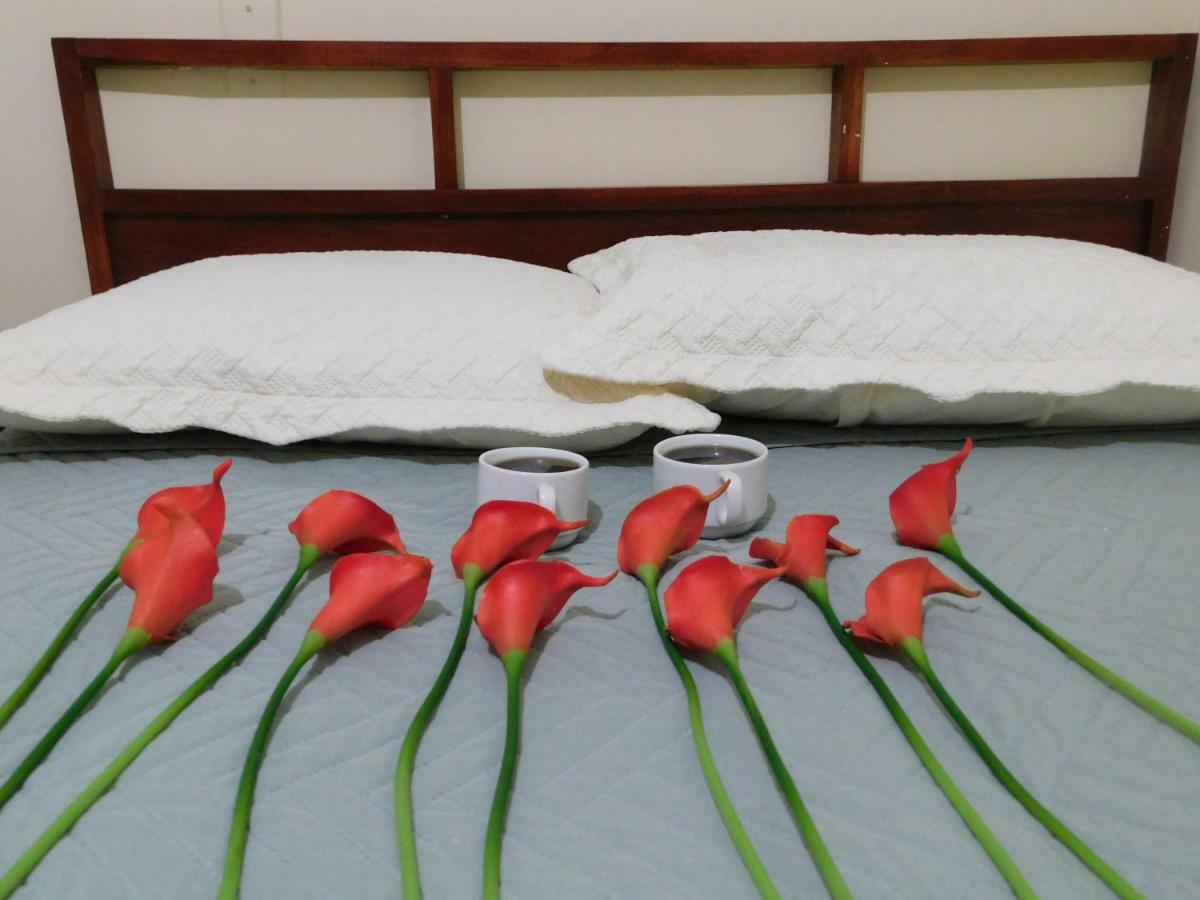 Hotel Meson De Maria Antiguo Cuscatlán Dış mekan fotoğraf